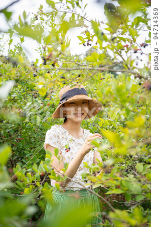 ブルーベリー狩りを楽しむ女性 94714369