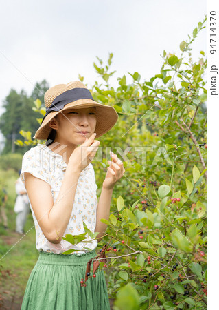 ブルーベリー狩りを楽しむ女性 94714370