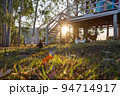 鶏の放し飼いと逆光と小屋と 94714917