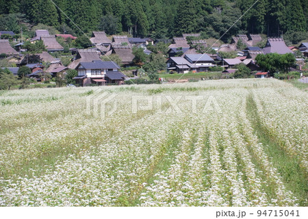 かやぶきの里 かやぶきの里 94715041