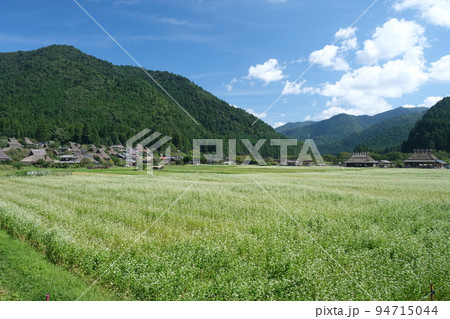 かやぶきの里 かやぶきの里 94715044