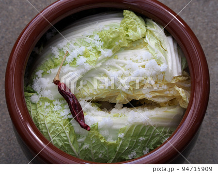 白菜の漬け物の仕込み 94715909