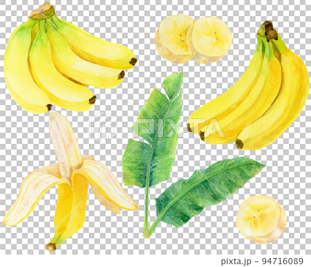 Watercolor_banana material collection Watercolor_banana material collection 94716089