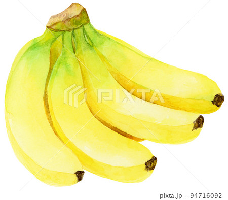 水彩_バナナの房2 94716092