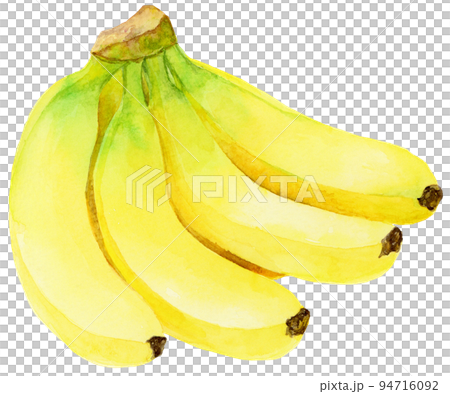 水彩_バナナの房2 94716092
