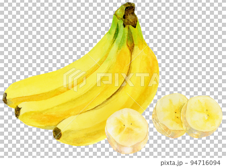 Watercolor _ Banana bunches and sliced bananas Watercolor _ Banana bunches and sliced bananas 94716094