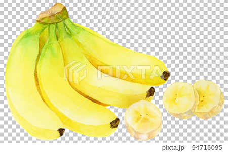 水彩_香蕉束和切片香蕉 2 94716095