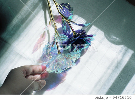 フィルムカメラで撮影したバラの造花と手 フィルムカメラで撮影したバラの造花と手 94716516