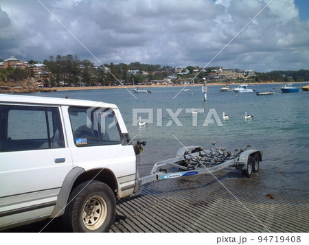 オーストラリアのペリカン 94719408