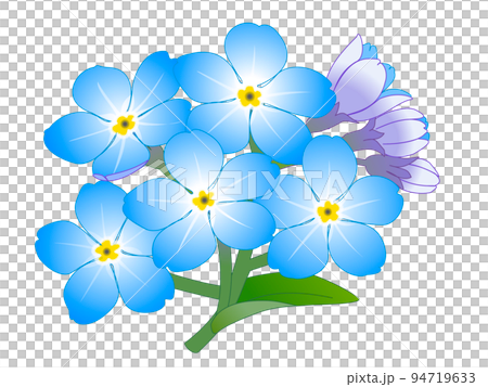 Forget-me-not grass Forget-me-not grass 94719633