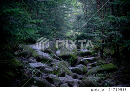 蓼科山登山口コース　八ヶ岳の風景 94719913