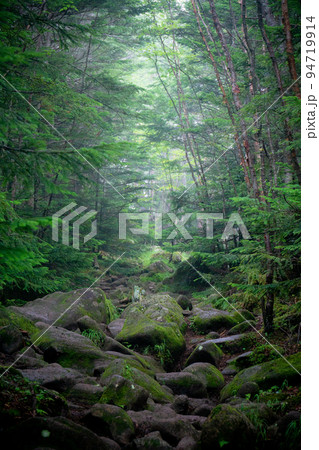 蓼科山登山口コース　八ヶ岳の風景 94719914