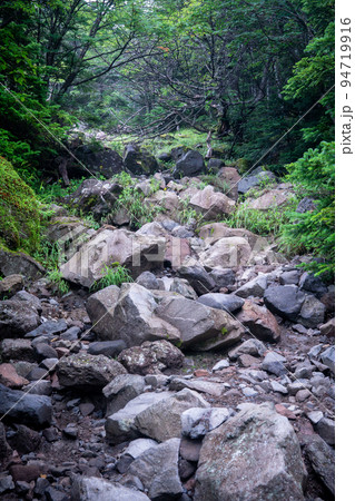 八ヶ岳の登山道　蓼科山登山口ルート 94719916