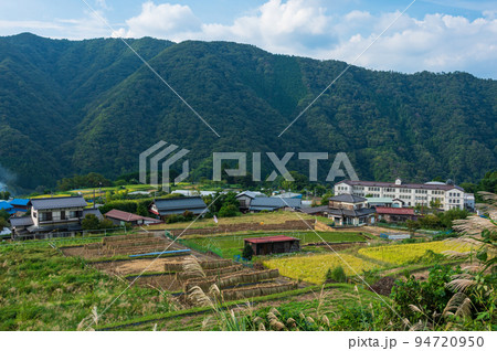 初秋の青根　原風景　秋の棚田 94720950