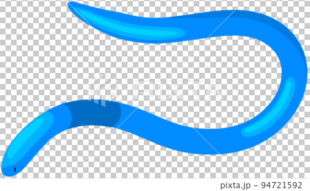 シーボルトミミズ 94721592