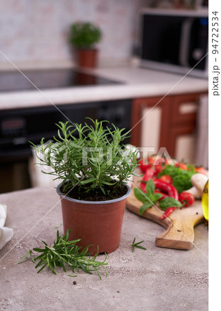 fresh green rosemary pot on the table at domestic home 94722534