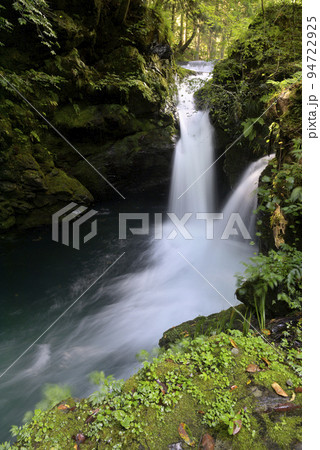 矢納ヶ淵に流れ落ちる滝（岐阜県郡上市美並町） 94722925