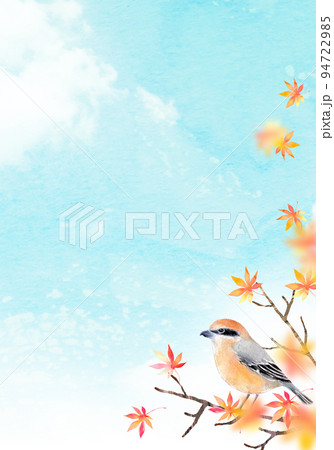 紅葉とモズ　背景素材　水彩イラスト 94722985
