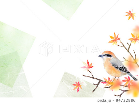 紅葉とモズ　背景素材　水彩イラスト 94722986