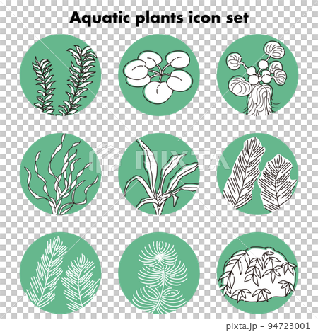 Aquatic plant icon set Aquarium tank biotope 94723001