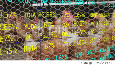 Image of financial data processing over chickens at farm Image of financial data processing over chickens at farm 94723471