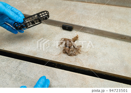 Woman removing hair clump from the shower drain. 94723501