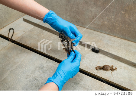 Woman removing hair clump from the shower drain. Woman removing hair clump from the shower drain. 94723509