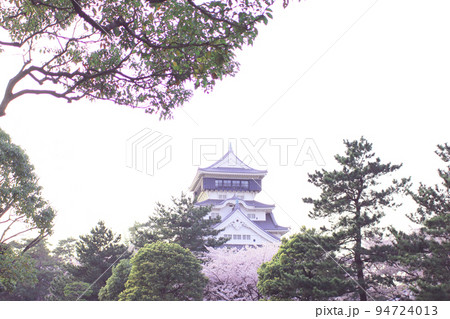 小倉城と桜 94724013