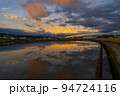 田んぼリフレクション　和歌山県和歌山市 94724116