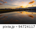 田んぼリフレクション　和歌山県和歌山市 94724117