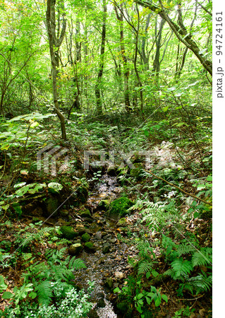 小さな沢を渡る 獅子ヶ鼻湿原 秋田県 小さな沢を渡る 獅子ヶ鼻湿原 秋田県 94724161