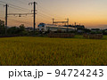 夕暮れの田園を走るパンダくろしお号　和歌山県和歌山市 94724243
