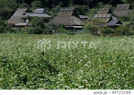 かやぶきの里 94725299