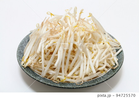 緑豆もやし 緑豆もやし 94725570