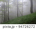 霧立ち込める大台ヶ原の西大台 94726272