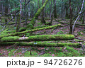 自然のままに苔育つ西大台 94726276