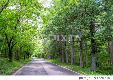 あだたら高原リゾート　森林浴 94726710