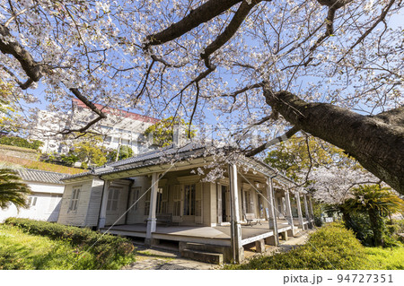 東山手十二番館(旧居留地私学歴史資料館)の桜【長崎県長崎市東山手町】 東山手十二番館(旧居留地私学歴史資料館)の桜【長崎県長崎市東山手町】 94727351