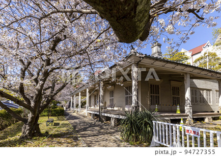 東山手十二番館(旧居留地私学歴史資料館)の桜【長崎県長崎市東山手町】 東山手十二番館(旧居留地私学歴史資料館)の桜【長崎県長崎市東山手町】 94727355