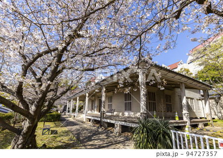 東山手十二番館(旧居留地私学歴史資料館)の桜【長崎県長崎市東山手町】 東山手十二番館(旧居留地私学歴史資料館)の桜【長崎県長崎市東山手町】 94727357