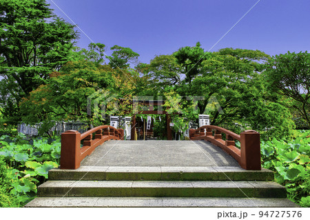 鎌倉 鶴岡八幡宮 政子石拝観の旗上弁財天社 鎌倉 鶴岡八幡宮 政子石拝観の旗上弁財天社 94727576