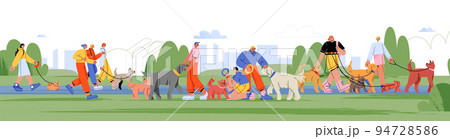 People walk and play with dogs in city park 94728586