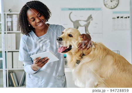 African young vet using digital tablet while communicating with dog at office 94728859