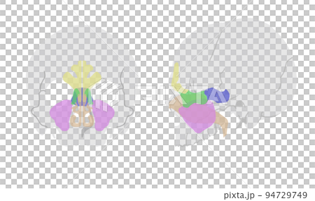 僅鼻竇插圖 94729749