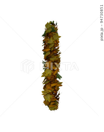 Text Made Out Of Autumn Leafe Typeface I 94730851