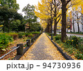 秋の横浜　山下公園通りのイチョウ並木（神奈川県横浜市） 94730936