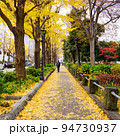 秋の横浜　山下公園通りのイチョウ並木（神奈川県横浜市） 94730937