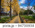 秋の横浜　山下公園通りのイチョウ並木（神奈川県横浜市） 94730938