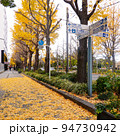 秋の横浜　山下公園通りのイチョウ並木（神奈川県横浜市） 94730942
