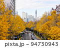 秋の横浜　山下公園通りのイチョウ並木（神奈川県横浜市） 94730943